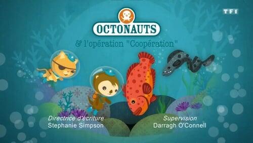 Octonauts and Operation Cooperation