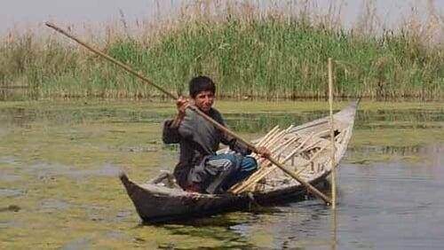 Miracle in the Marshes of Iraq