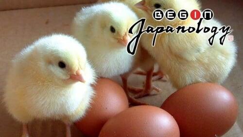 Chickens and Eggs