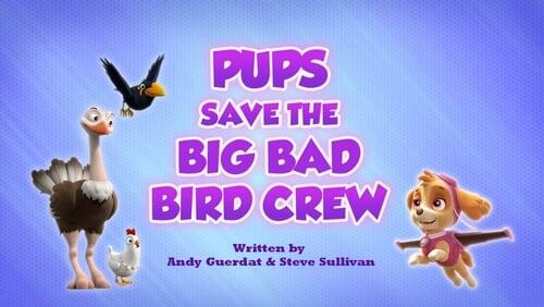 Pups Save A Big Bad Bird Crew