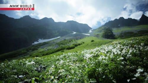 Kamikochi: A Sacred Mountain Paradise