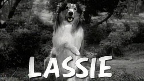 Lassie and the Moving Mountain