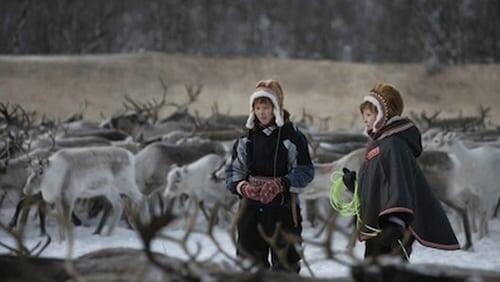 Reindeer Girls