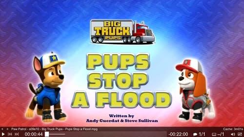 Big Truck Pups: Pups Stop a Flood