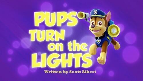 Pups Turn on the Lights