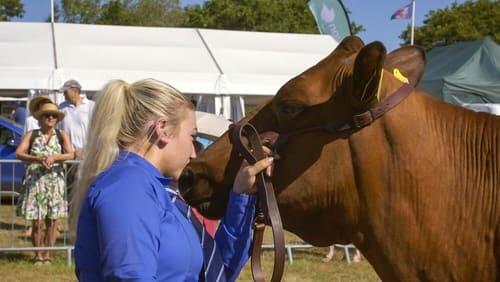 Okehampton Show