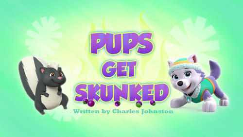 The Pups Winter Wonder Show