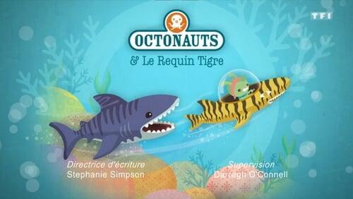 Octonauts and the Baby Alligator Search