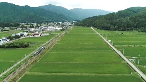 Quaint Sketches of Life in the Nagano Countryside