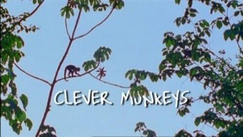 Clever Monkeys