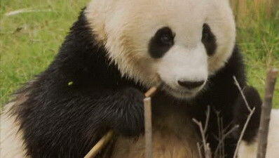 Heavenly Mountains Heavenly Mountains