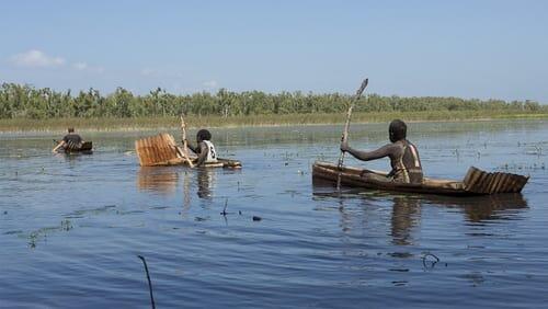 Tin Canoes