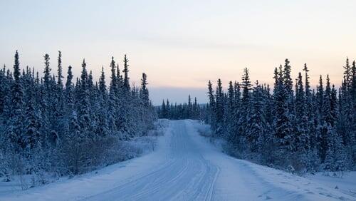 Snowbound