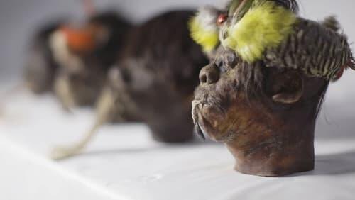 Shrunken Heads