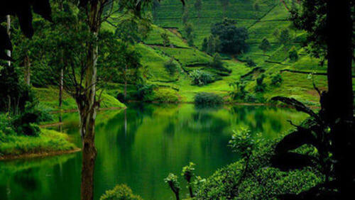 Sri Lanka: Monsoon Island