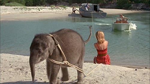 Flipper and the Elephant (2)