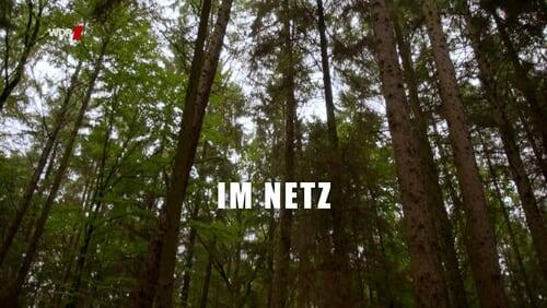 Im Netz