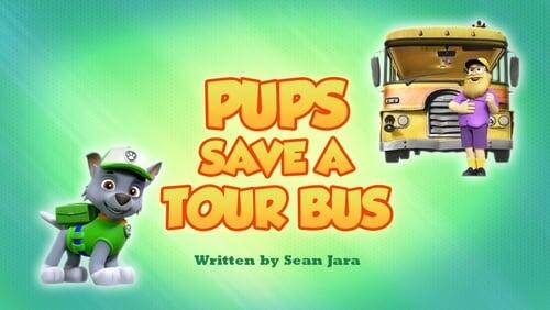 Pups Save A Tour Bus