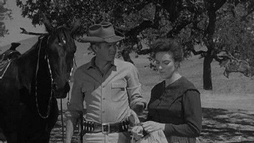 Criss-Cross Criss-Cross