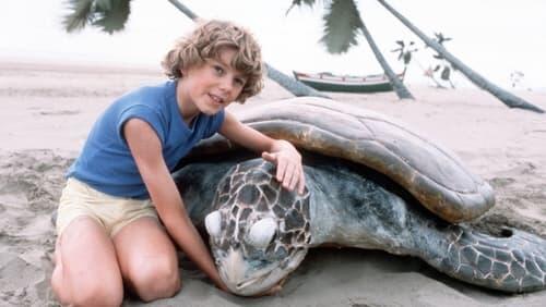 The Boy Who Talked with Animals