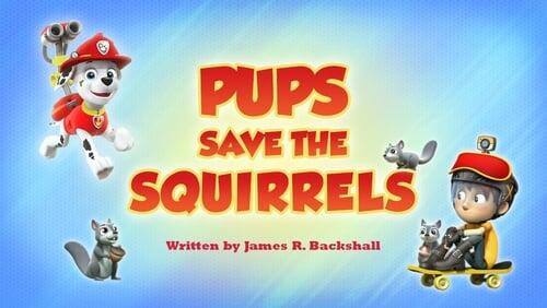 Pups Save the Squirrels