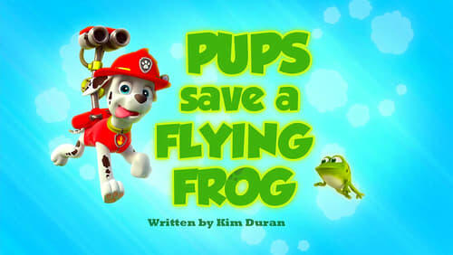 Pups Save a Flying Frog