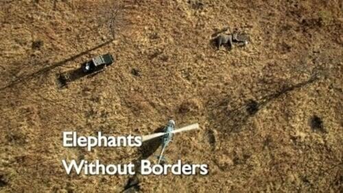 Elephants Without Borders