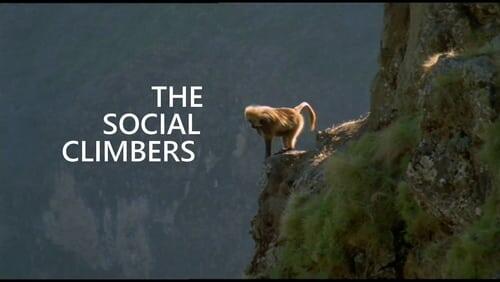 Social Climbers