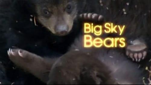 Big Sky Bears