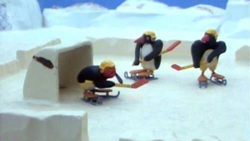 Pingu on Makeshift Skis