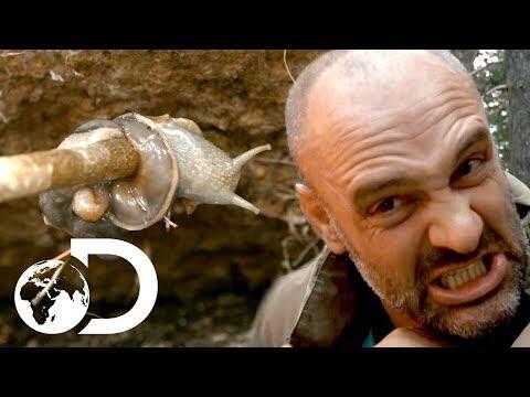 Ed Stafford: Left For Dead | Ed Nearly Vomits After Eating Snails