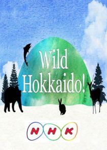 Wild Hokkaido!