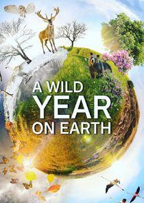 A Wild Year on Earth