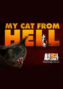 My Cat from Hell