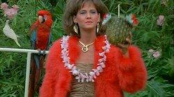 The Big Switch / The Hooker's Holiday The Big Switch / The Hooker's Holiday