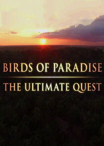 Birds of Paradise: The Ultimate Quest