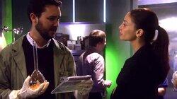 All the Rage All the Rage