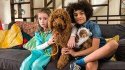 Waffle's Visit Waffle's Visit