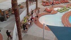 Vacation Gone Wrong Vacation Gone Wrong