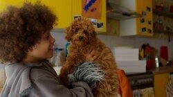 Goodbye Waffle? Goodbye Waffle?