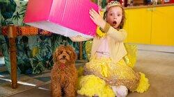 Meeting Waffle Meeting Waffle