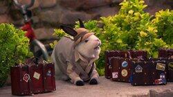 Nowhere to Slide Nowhere to Slide