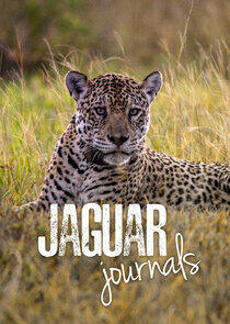 Jaguar Journals