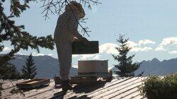 Hunt in the Clouds Hunt in the Clouds