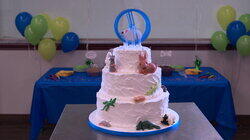 Sweet 16, Hulas and Tiny Hamster Cake