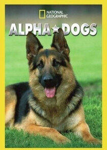 Alpha Dogs - Season 1