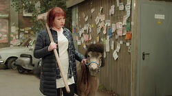 Что такое дружба? Что такое дружба?