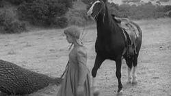 The Mary Ellen Thomas Story The Mary Ellen Thomas Story