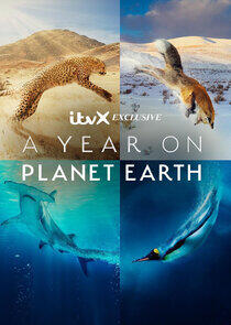 A Year on Planet Earth