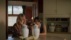 Acceptance 'Hot Emotional Dog Turd' Acceptance 'Hot Emotional Dog Turd'